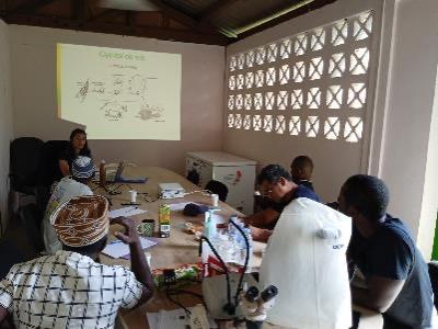 Formation « Tiques et maladies associées à Mayotte : reconnaissance, gestion et surveillance »